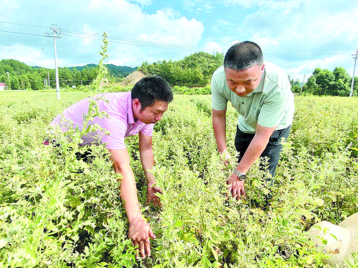 贫困山区写担当——记岳阳县毛田镇党委书记续广宁