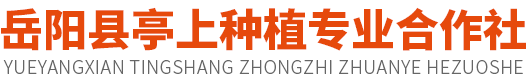 岳阳县亭上种植专业合作社--湖南星艾康生物科技有限公司